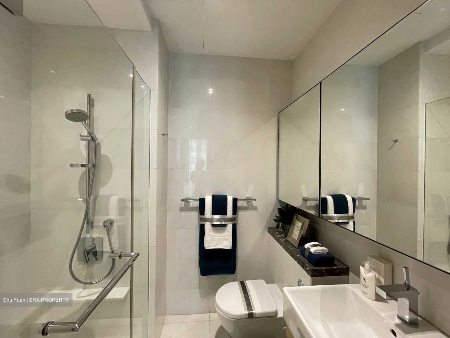 Cliveden At Grange (D10), Condominium #611539861